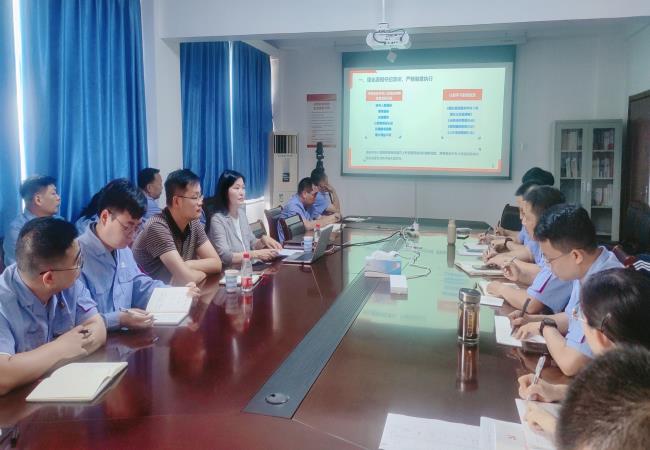 軸研所黨委副書記、紀委書記江瑋到銷售公司調(diào)研并講授黨紀專題黨課